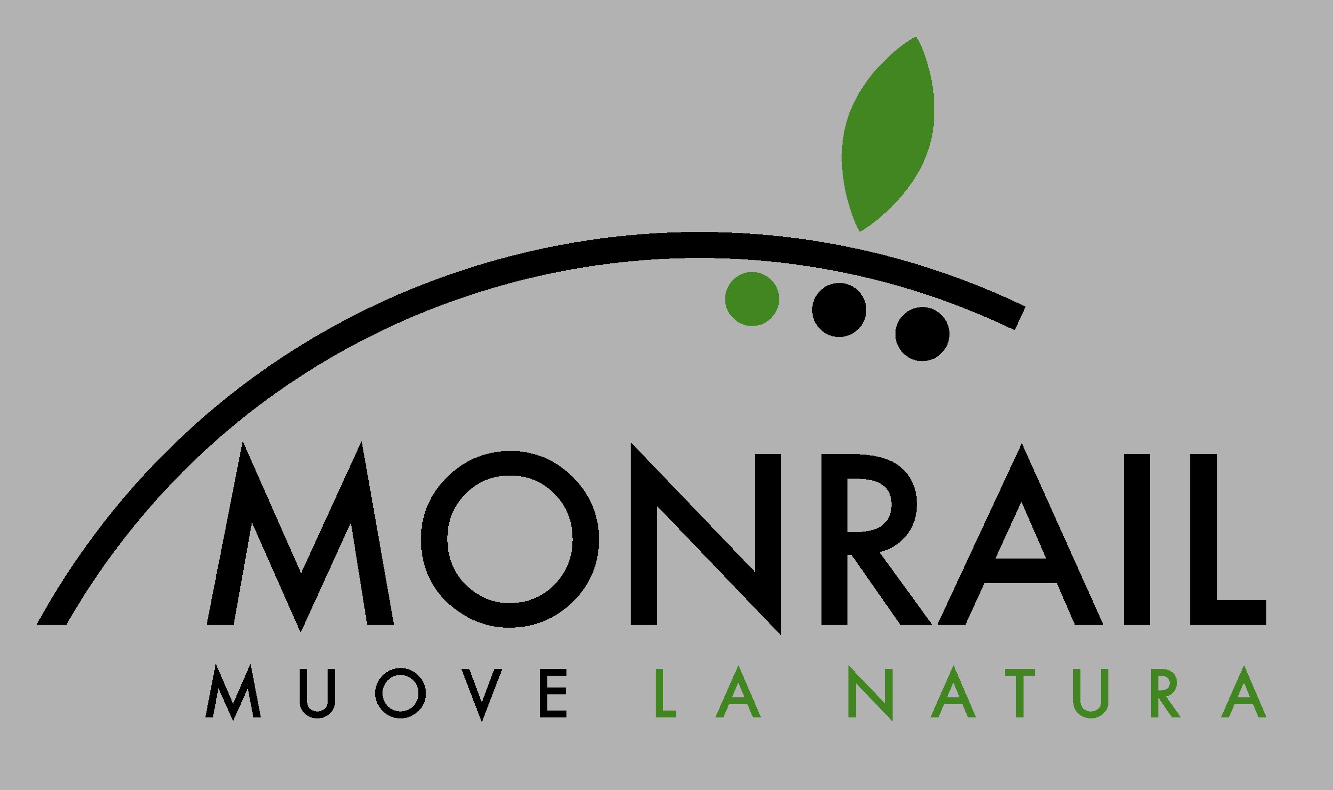 LOGO NMONRAIL